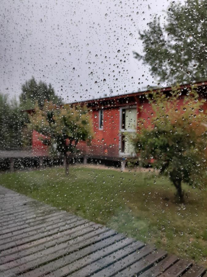 Vagones De La Patagonia